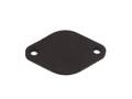 Canton Racing Products 80-100 Water Neck Block Off Plate
